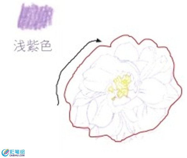 彩铅月季的绘画步骤是什么？月季花的彩铅画法