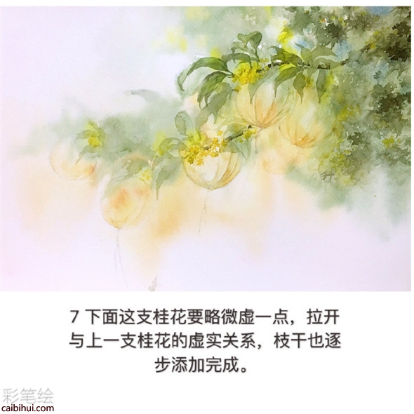 水彩画树教程：桂花树的水彩画画法教学