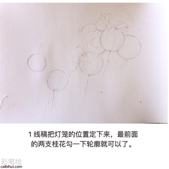 水彩画树教程：桂花树的水彩画画法教学