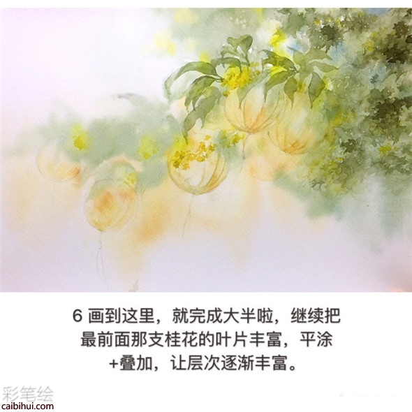 水彩画树教程：桂花树的水彩画画法教学